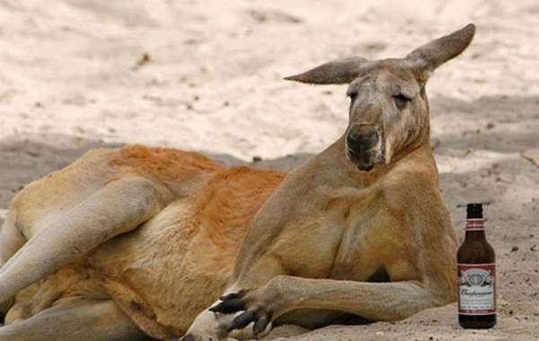 6362067006161722853883855